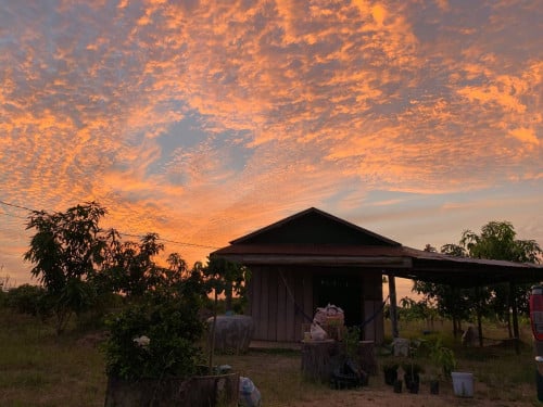 ដីជួល​ /Land for rent/出租土地 (1,000$)