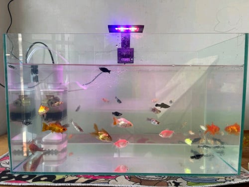 35$ ឲ្យទាំងអស់ មាន Filter, Light 🚨, Fish size 50*30