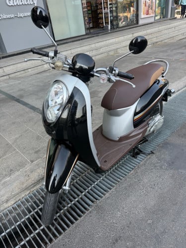 Honda scooyi