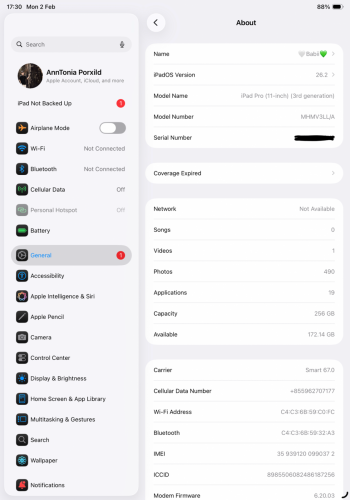 IPad Pro M1 256GB Sim + Wifi