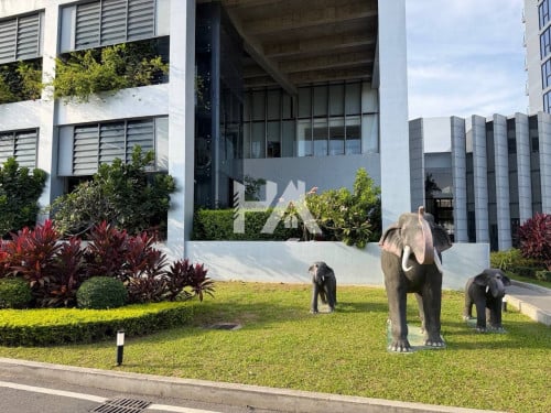 Morgen Loft unit for rent