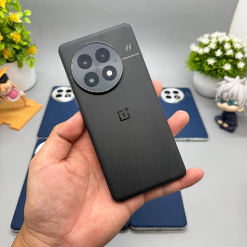 OnePlus 13 (Global Firmware)