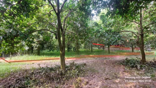 ដីលក់នៅក្រុងអរិយក្សត្រ (ម្ចាស់ផ្ទាល់)