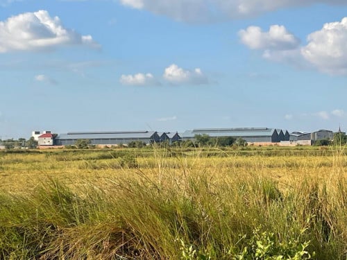 ដីលក់ក្រោមទីផ្សារ