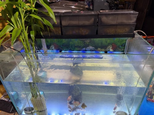 ទូ ត្រី ចម្រោះ (លក់ទាំងអស់)