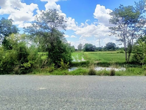 ដីលក់បន្ទាន់  ស្រុក កណ្តាលស្ទឹង - ផ្លូវ ទៅ ព្រលានថ្មី