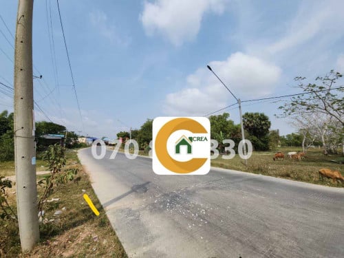 ដីសំរាប់លក់ជិតផ្សារស្វាយរៀង    / Land for sale Near Svay rieng market