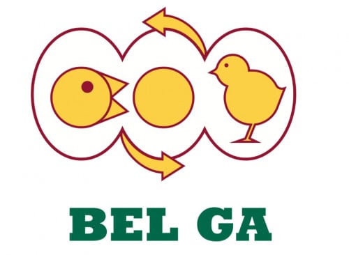 HR and Admin Officer