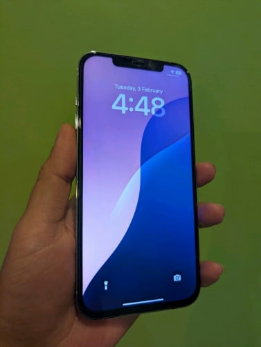 iPhone 12 Pro Max 256GB