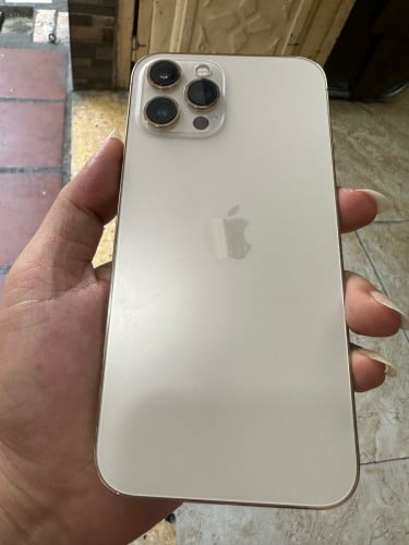 iPhone 12Pro max zin all