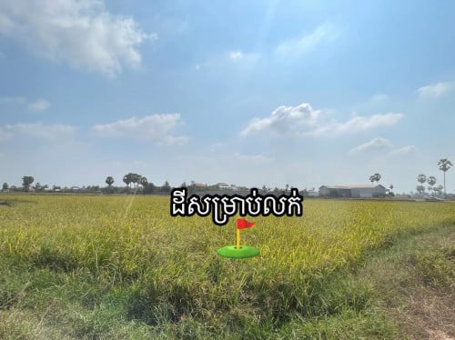 ដីសម្រាប់លក់បន្ទាន់ (អង្គស្នួល)