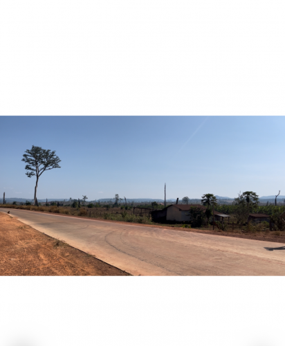 ដីលក់ តំបន់ទេសចរណ៌ សម្បូរព្រៃ ត្រជាក់ខ្លាំង អូរសោម ពោធិសាត់