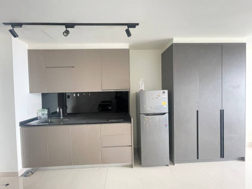 1 Bedroom The PEAK Condo for Rent-$600/month