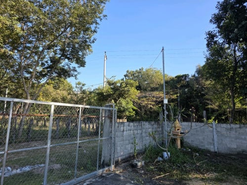 ដីភូមិ៥មែត្រពីថ្នល់កៅស៊ូ លក់75000$ចចារ