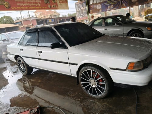 អាស្វិតឆ្នាំ 91 លក់