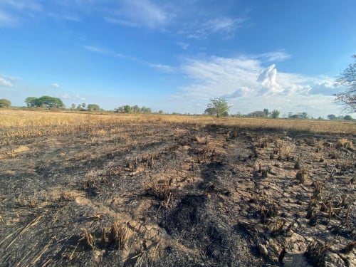 🏦Land Available for Urgent Sale at a Special Price (Negotiable).