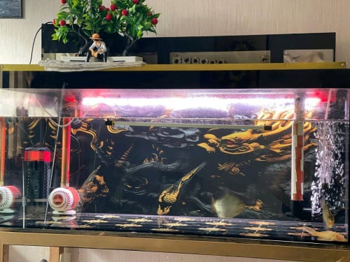 🐟 លក់អាងត្រី 100x40x40 + គ្រឿង accessories ពេញស្រេច – $120 (ចរចាបាន)