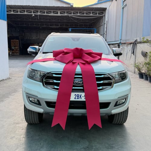 Ford everest 020 full option