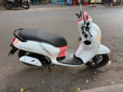 Honda scooyi