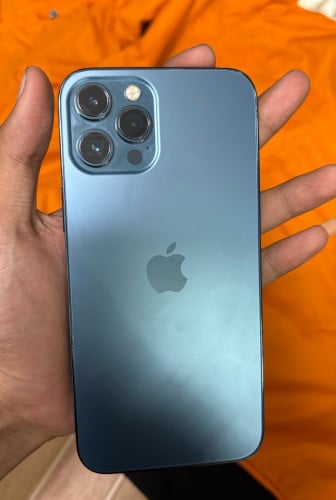 iPhone 12 Pro Max  256G / LL/A