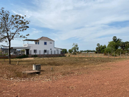 land for sale in Siem Reap City (ម្ចាស់ផ្ទាល់)