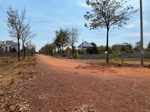 land for sale in Siem Reap City (ម្ចាស់ផ្ទាល់)