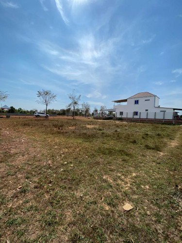 land for sale in Siem Reap City (ម្ចាស់ផ្ទាល់)