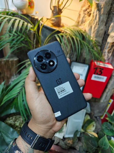 One plus 13 /Global Fimware/ram12/256G