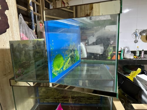 ទូត្រីមួយទឹកលក់ធូៗ