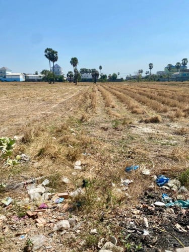 ដីល្អសម្រាប់លក់ ឬ ជួល