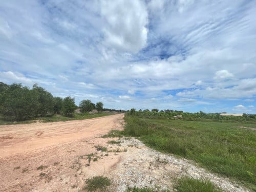 ដីខ្នាតរោងចក្រដាក់លក់ (កៀនស្វាយ)