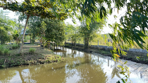 ត្រូវការដៃគូរ អ្នកមានជំនាញចិញ្ចឹមសត្វ, ដាំបន្លែ (គ្រប់ប្រភេទ)