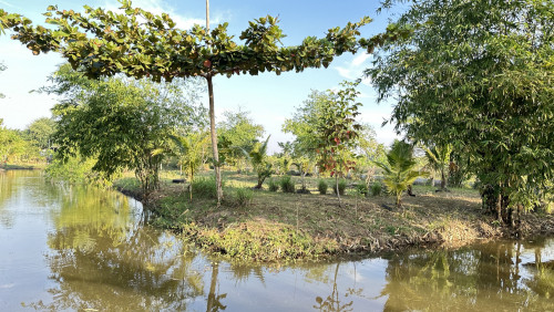 ត្រូវការដៃគូរ អ្នកមានជំនាញចិញ្ចឹមសត្វ, ដាំបន្លែ (គ្រប់ប្រភេទ)