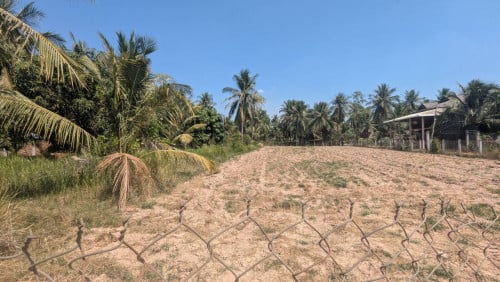 ដី ភូមិលើ ផ្លូវលំនៅជិតឈូក( កំពត)