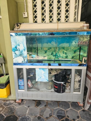 លក់នៅស្អាត