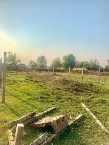 ដីលក់បន្ទាន់