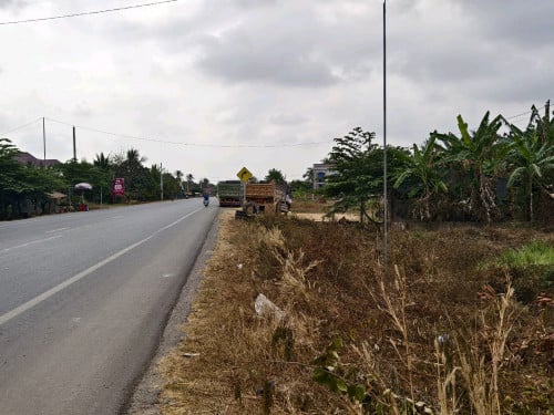 ដីលក់នៅលេីផ្លូវជាតិ 31