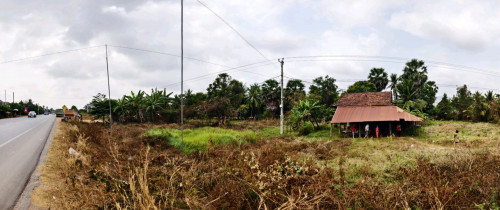 ដីលក់នៅលេីផ្លូវជាតិ 31
