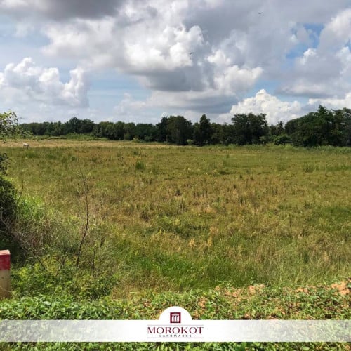 ដីដាក់លក់បន្ទាន់ខ្លាំង (RR3) កៀនស្វាយ