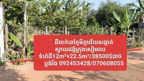 ដីលក់ភូមិភ្ញាជ័យសង្កាត់ស្វាយដង្គំក្រុងសៀមរាបចូលតាមផ្លូវផ្ទះទ្រីដាណា12m×22.5m/38500$ដាច់ប្លង់រឹង