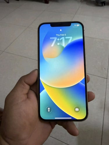 12 Pro Max 256 Gold ស្អាត