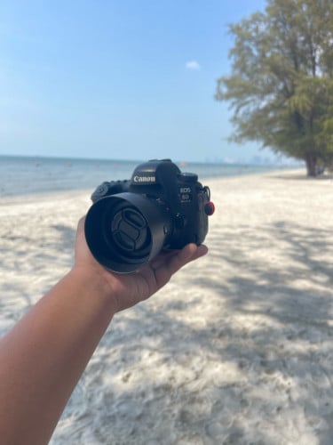 Canon 6dmarkii លេន50mm stm គុណភាព97%