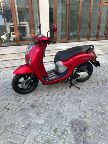 Honda scoopy 2025