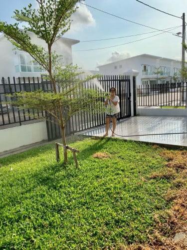 House for rent at kamboul 250$