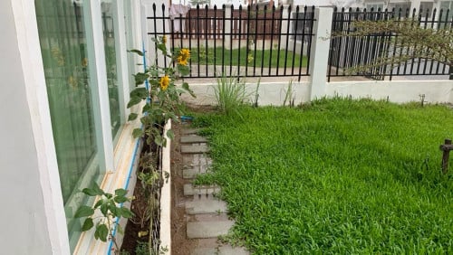 House for rent at kamboul 250$