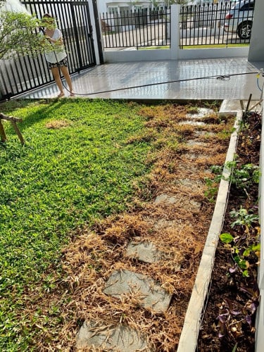 House for rent at kamboul 250$