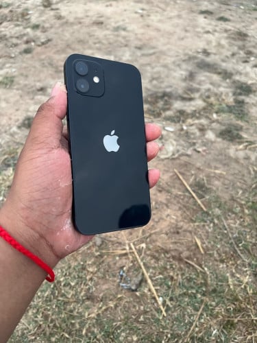iPhone 12 សាណុំសុីន
