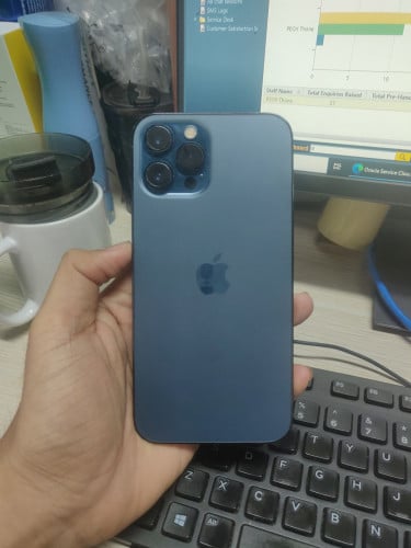 iPhone 12 Pro Max 256GB