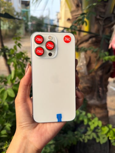 iPhone 13 Pro 256G LL/A