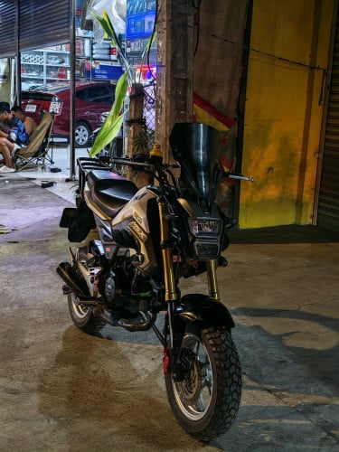 Msx 016 មានពន្ធកាតគ្រីត្រឹមត្រូវ